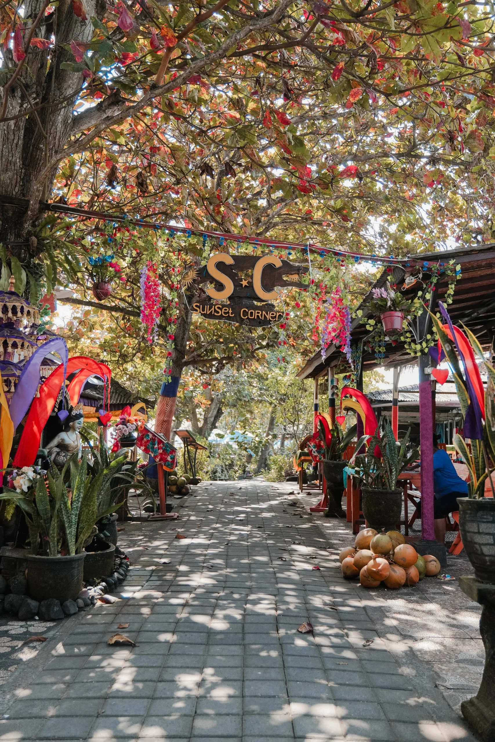 Carnet de voyage à Bali : photo 9