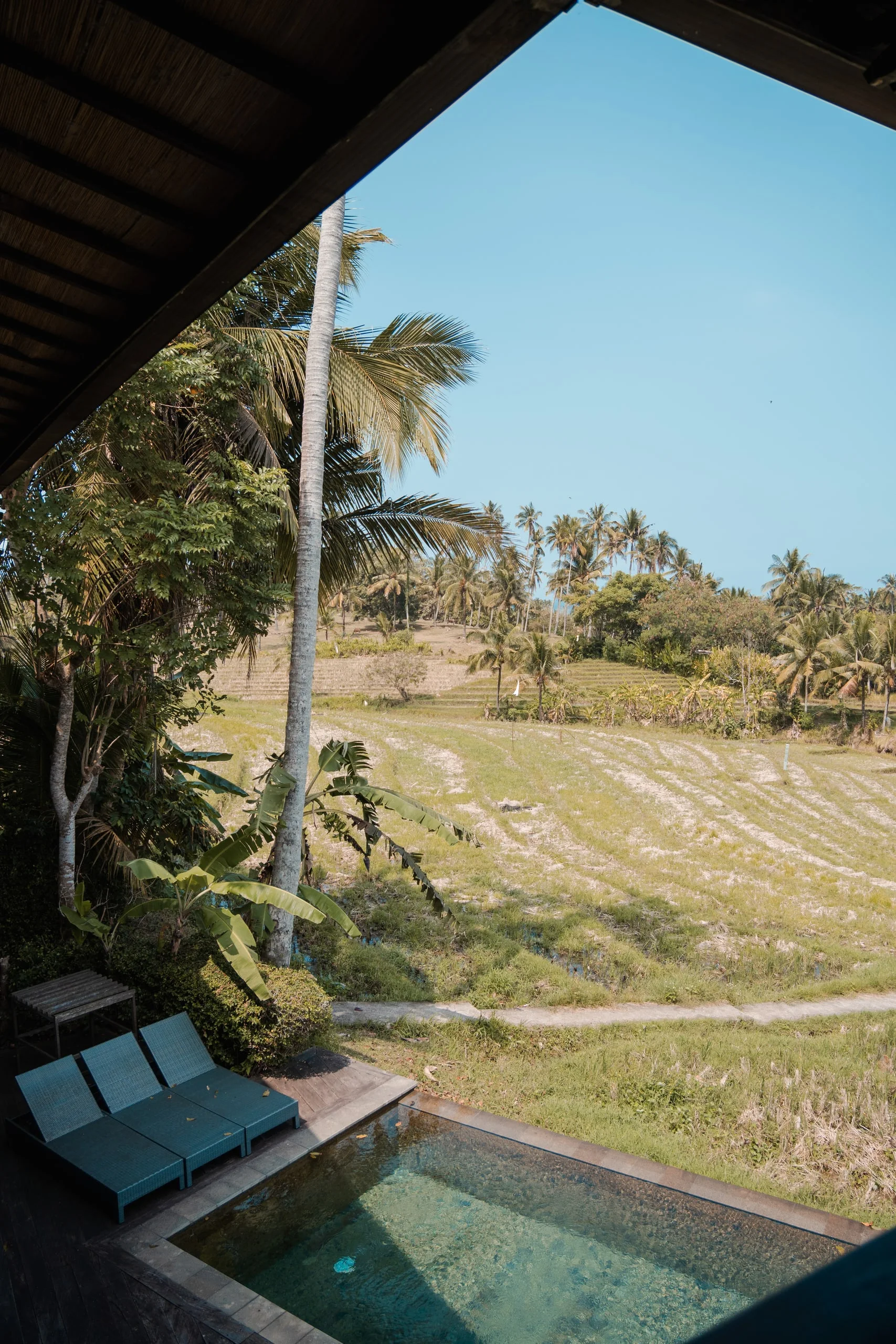 Carnet de voyage à Bali : photo 13