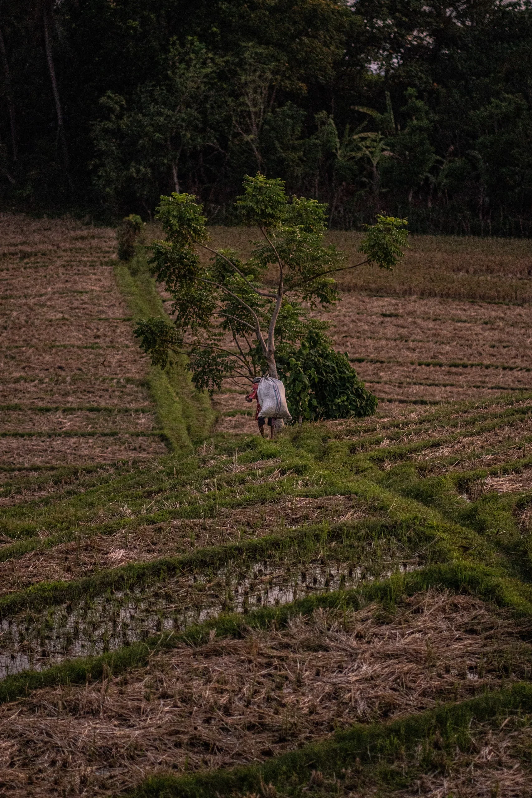 Carnet de voyage à Bali : photo 20