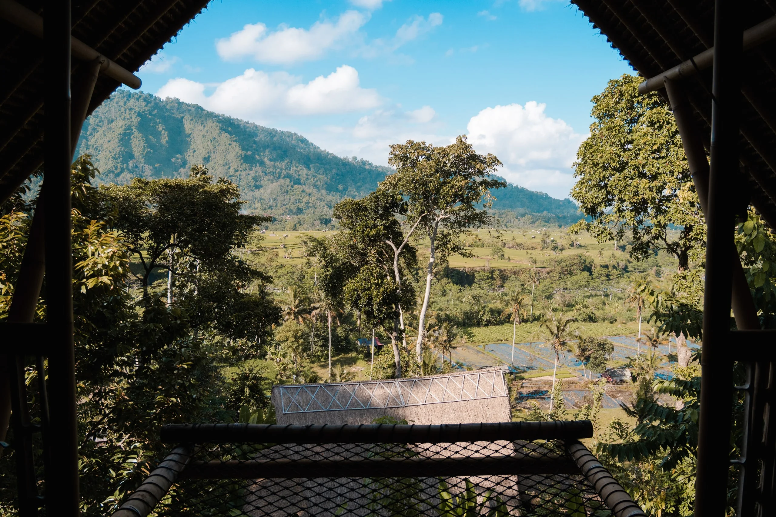 Carnet de voyage à Bali : photo 25