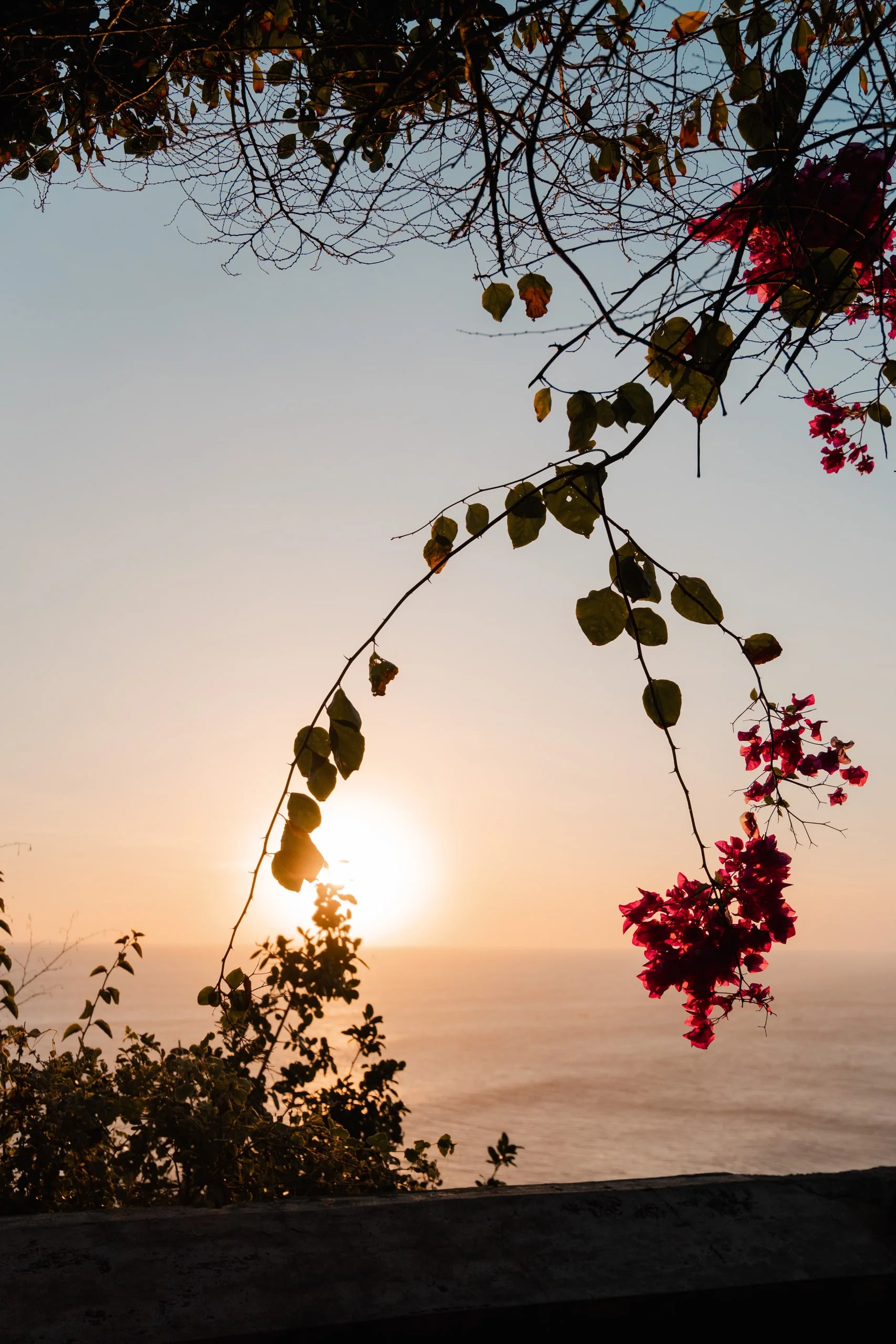 Carnet de voyage à Bali : photo 27